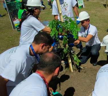 Funcionários da Control plantam mudas no Igarapé do Mindu. O projeto faz parte da programação da Semana da Árvore e da Água